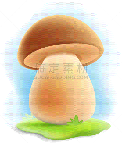蘑菇,分离着色,有机食品,自然,清新,秋天,环境,食品,图像,孢子
