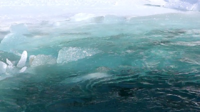春天河水流淌