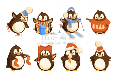 热,衣服,冬天,企鹅,厚衣服,毛衣,华丽的,野生动物,雪,动物