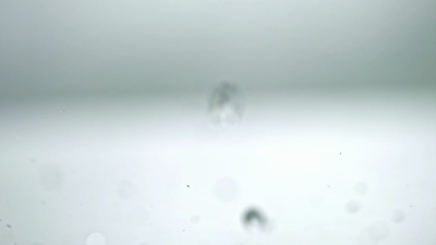 湿番茄掉在桌子上