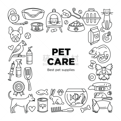 狗,鸟类,正方形,猫,式样,宠物商店,家畜,华丽的,贺卡,灵感