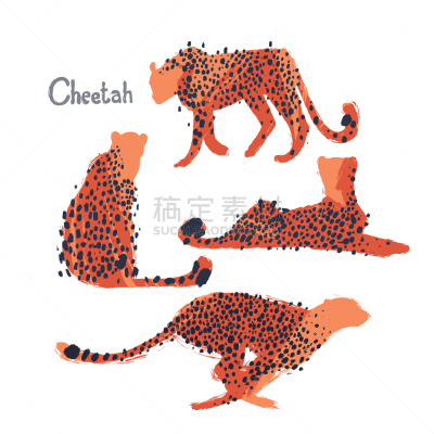 猎豹,粗糙的,插画,分离着色,创造力,鸡尾酒,非洲,收集,绘制,坐