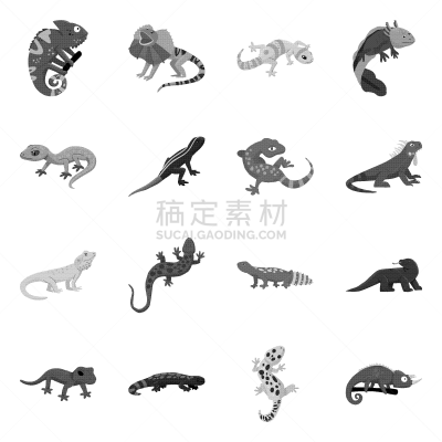 分离着色,野生植物,一个物体,热带气候,品牌名称,灰色,绿色,蓝色,可爱的,收集