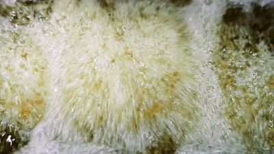 油炸食品