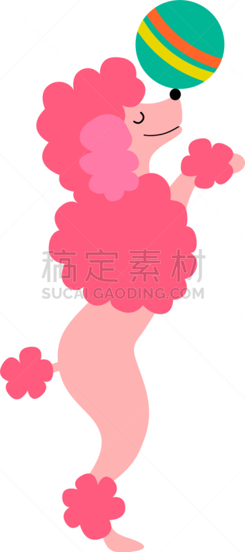 可爱的,狗,贵宾犬,粉色,乐趣,球,平衡,事件,马奇