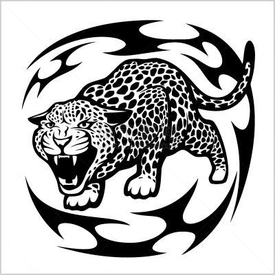美洲虎,态度,韧性,野生动物,猎豹,彪马,哺乳纲,动物,美洲豹