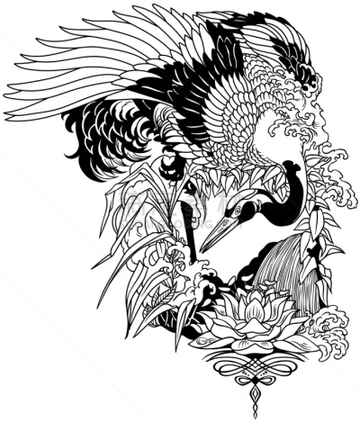 鸟类,百合花,黑白图片,鹤,地形,野生动物,动物,中国,丹顶鹤,瀑布
