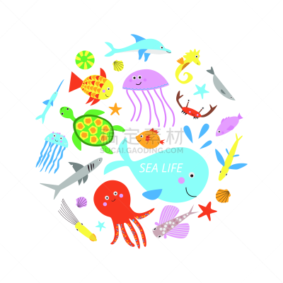 矢量,可爱的,绘画插图,海洋生命,标签,背景分离,热带气候,野生动物,绿蠵龟,龟