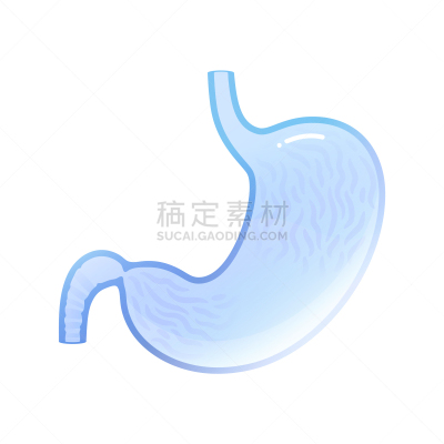 分离着色,胃,生物学,健康保健,人,食管,果汁,品牌名称,矢量,插画