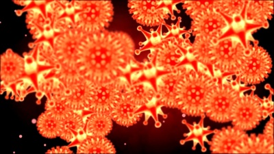 猪流感H1N1