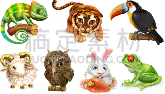 计算机图标,动物,三维图形,幽默,动画片,分离着色,可爱的,宠物,动物园,白色背景