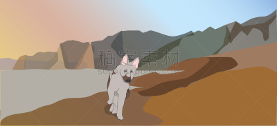彩色图片,狗,牧羊人,白色,红色,黑色,自然美,自然,宠物,跑