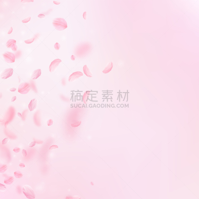 樱之花,花瓣,白色,粉色,华丽的,浪漫,高雅,落下,庆祝,爱
