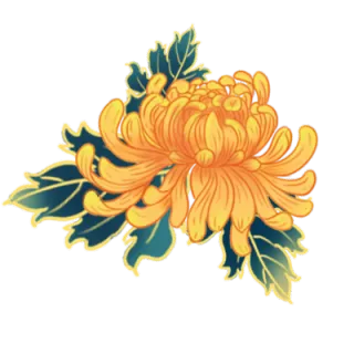 菊花 菊花高端免抠 菊花素材下载 稿定素材