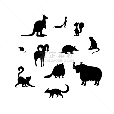 动物,袋鼠,非洲松鼠,圣伯纳犬,野生动物,猕猴,有角的,犰狳,布置,剪影