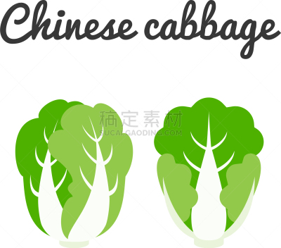 油菜,分离着色,农业,白色,蔬菜,有机食品,清新,食品,素食