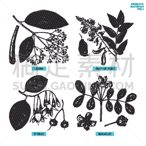 草药,芳香的,栀子,香料,凉鞋,瓶子,熏香,布置,复古,花