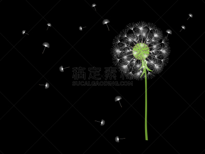 抽象,背景,过敏反应,清新,风,蒲公英,草,春天,品牌名称,吹