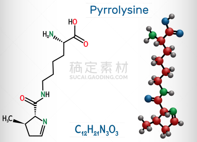 分子,蛋白质,公式,古老的,互联网,里拉符号,氨基酸,扁平化设计,有机食品,设计