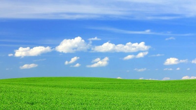 碧绿的田野和蔚蓝的天空