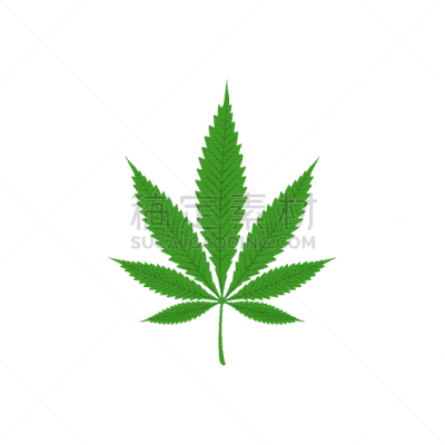 分离着色,健康保健,塔法里教教徒,草,占贾,叶子,矢量
