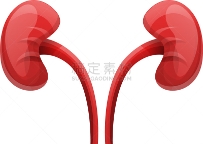 人,肾脏,计算机图标,动画片,高雅,白色,生物学,书,生病