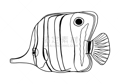 Copperband Butterflyfish. Outline vector Chelmon rostratus fish. Hand drawn beaked coralfish isolated on white background. Illustration for kids, coloring book, logo, design, decoration.