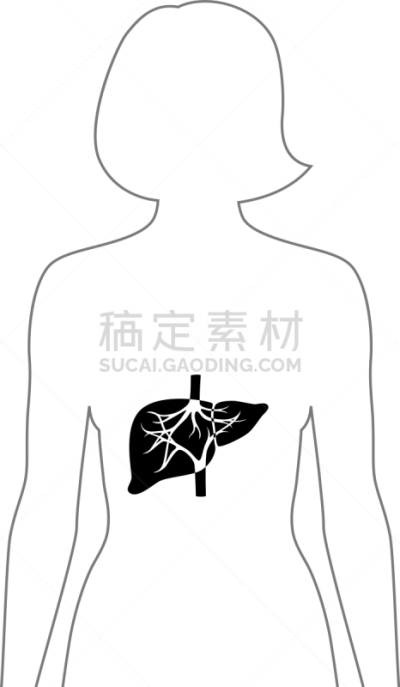 肝脏,生物学,健康保健,新陈代谢,胆汁,模板,女人,肝炎,品牌名称