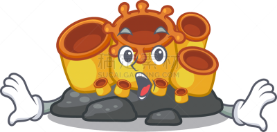 珊瑚,海洋,惊奇,橙色海绵,卡通,可爱的,环境,动物,面部表情,震惊