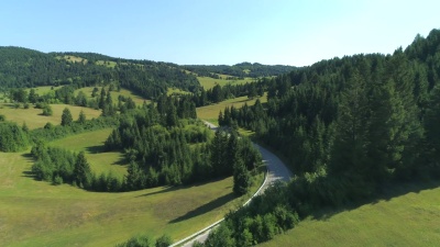 空中 黑色SUV汽车在郁郁葱葱的乡村穿过云杉林的道路上行驶