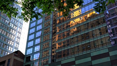 树木和商业建筑