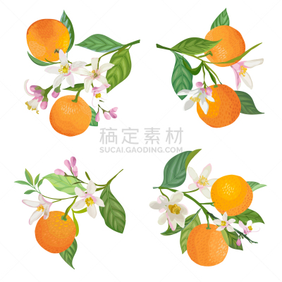水彩画,叶子,枝,橙子,夏天,春天,绿色,废金属,握紧,复古