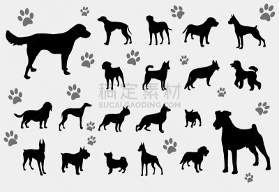 狗,纯种犬,大麦町,梗犬,灰猎犬,动物,斯班尼犬,贵宾犬,收集,剪影