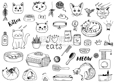 乱画,猫,白色背景,可爱的,玩具,食品,床,草,动物,鸟类