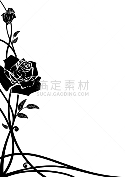 国境线,玫瑰,轮廓,白色,华丽的,高雅,图像,花束,花,复古
