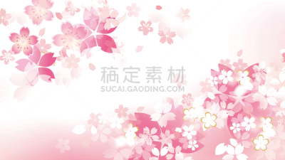 背景,图像,樱桃,自然美,亚洲樱桃树,可爱的,和服,和服腰带,春天,3到4个月