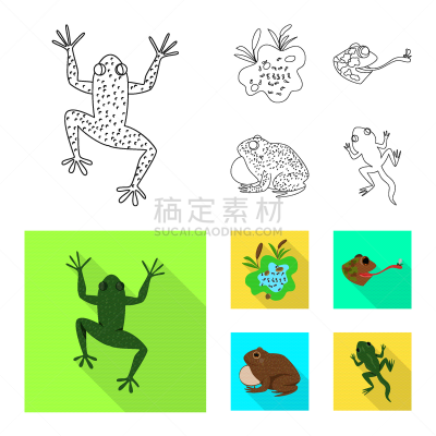 野生动物,藓沼,计算机图标,生物学,有毒物质,环境,青蛙,动物,牛蛙,湖