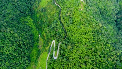 高山和森林上道路的鸟瞰。