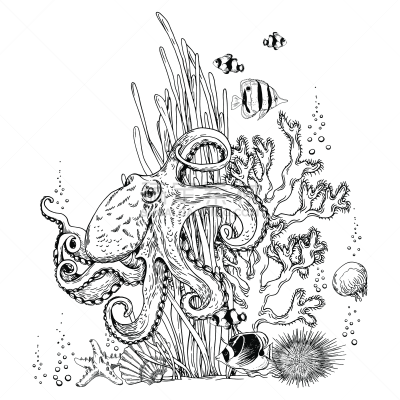 章鱼,海草,热带鱼,不完全的,深的,在底端,法国,热带气候,呼吸管,手