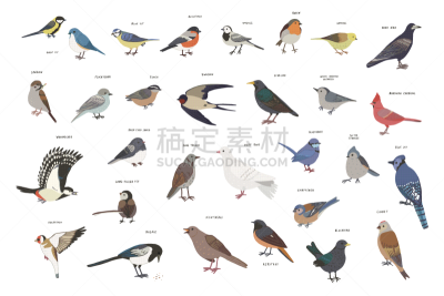 鸟类,菜园,可爱的,麦片,夜莺,山鸟类,红尾鸲,鹡鸰,野生动物,翅膀