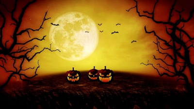 万圣节南瓜头杰克灯笼，Spooky Night，Loop
