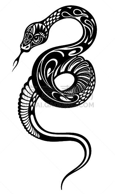 蛇,背景分离,野生动物,动物,品牌名称,动物皮,眼镜蛇,蝰蛇,爬行纲,危险