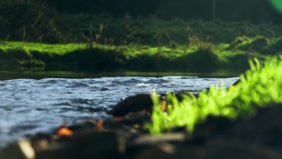 河流