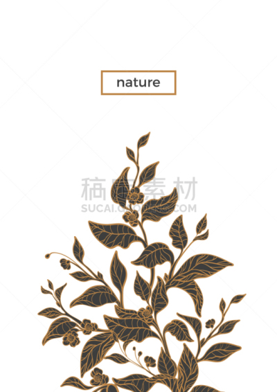 茶,自然,两个物体,模板,饮料,华丽的,植物群,婚礼,调味品,设计