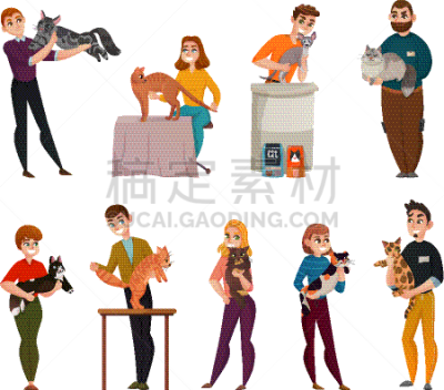 猫,宠物,纯种犬,外套,食品,图像,浣熊,布置,收集