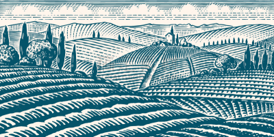 fields and hills tuscany scenic view of