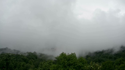 季风雨季的热带雨林