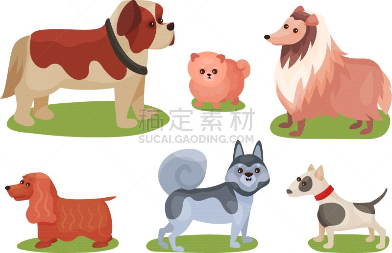 纯种犬,狗,概念,可爱的,狗屋,华丽的,梗犬,英格兰,动物,站