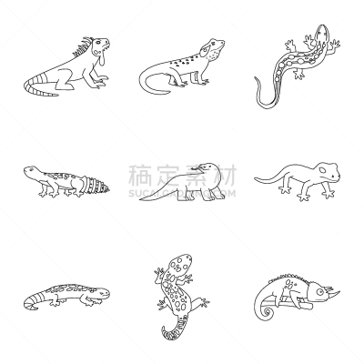 野生动物,自然,计算机图标,动物,飞龙科蜥蜴,巨蜥属,两栖纲,爬行纲,变色龙,鬣蜥蜴