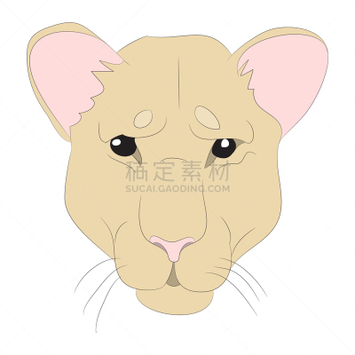 肖像,雌狮,绘画插图,彩色图片,形状,轮廓,可爱的,巨大的,力量